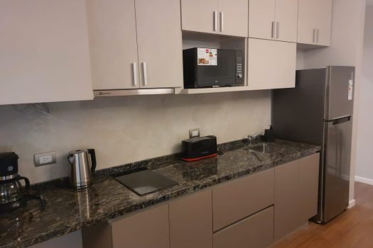 Torres San José – 2024