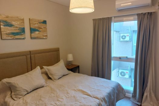 Torres San José – 2024