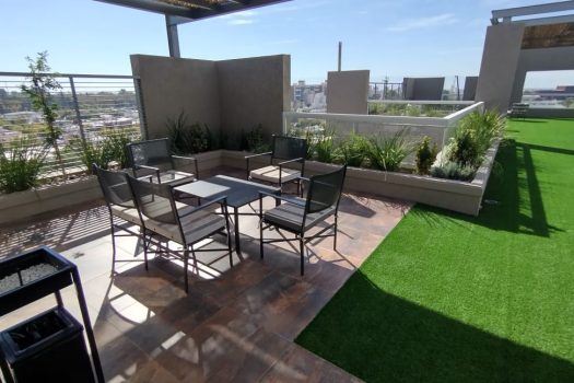 Torres San José – 2024