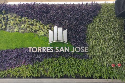 Torres San José – 2024