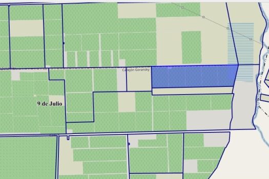 Finca productora, 18 Hectáreas