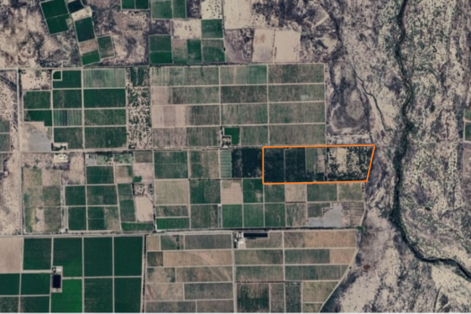 Finca productora, 18 Hectáreas