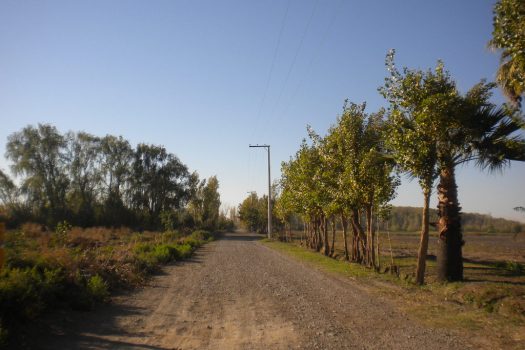 Lote esquina en Médano de Oro