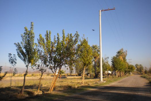 Lote esquina en Médano de Oro