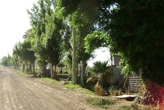 Lote esquina en Médano de Oro