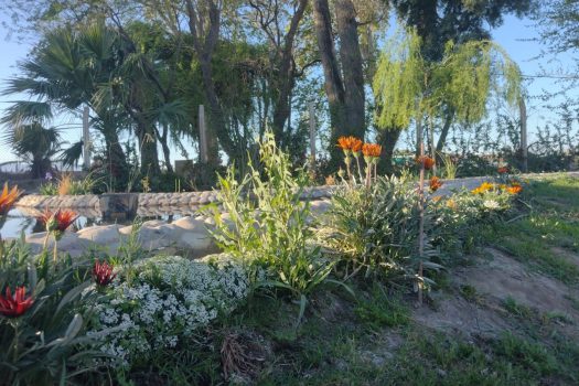 Premium – Casa de categoría 3 dorm. 3 baños