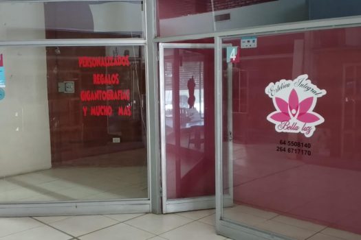 Galeria Comercial / Local Comercial. 750 m2