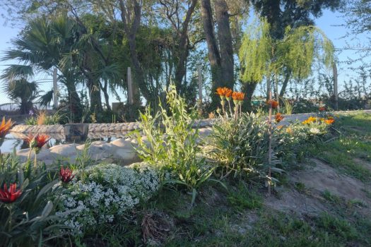 Lote en Barrio Privado Don Clemente